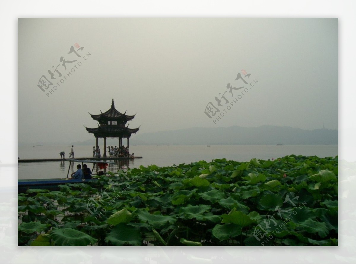 湖滨晴雨西湖荷亭图片