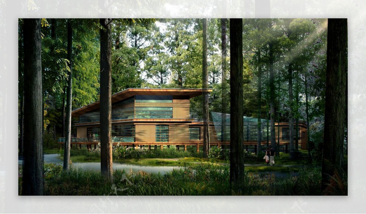 森林中的别墅房产广告素材图片