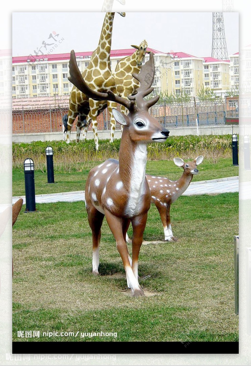 雕塑鹿图片