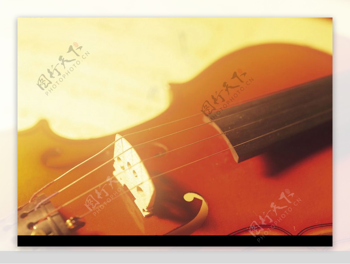 大提琴局部图片