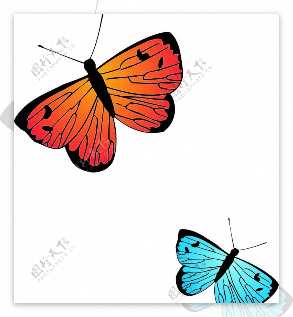 矢量线描蝴蝶图片