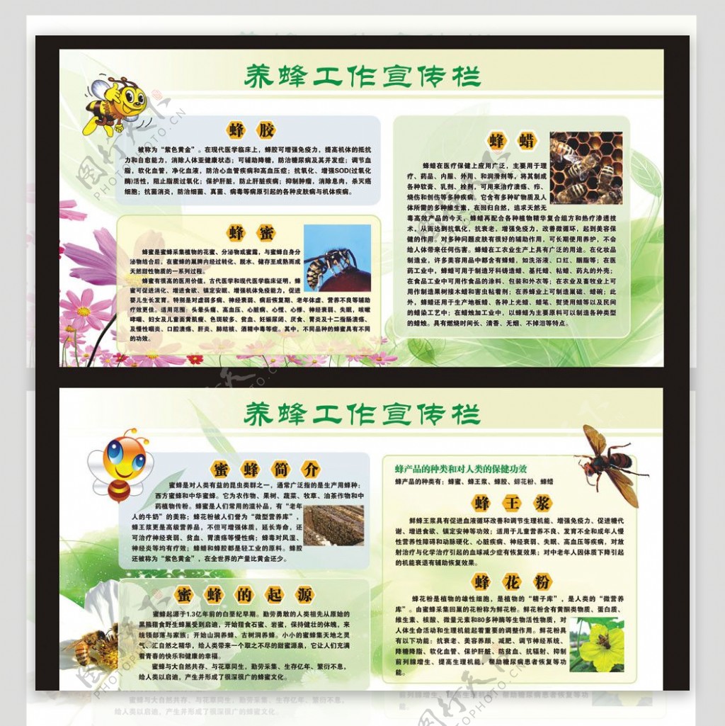 中国农业科学院蜜蜂研究所 - 探秘蜜蜂王国奥秘科普行动持续进行中