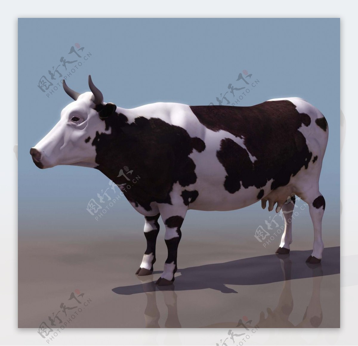COW奶牛3d模型图片