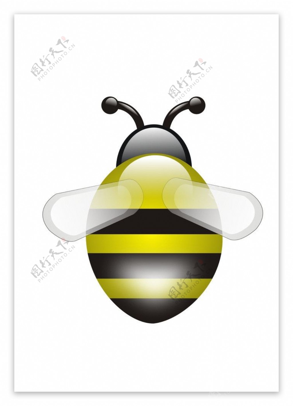 小蜜蜂cdr图片