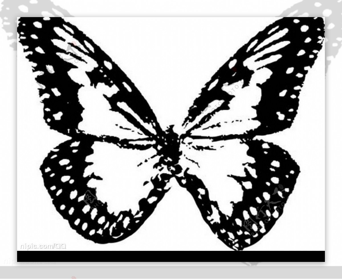 蝴蝶黑白素材图片