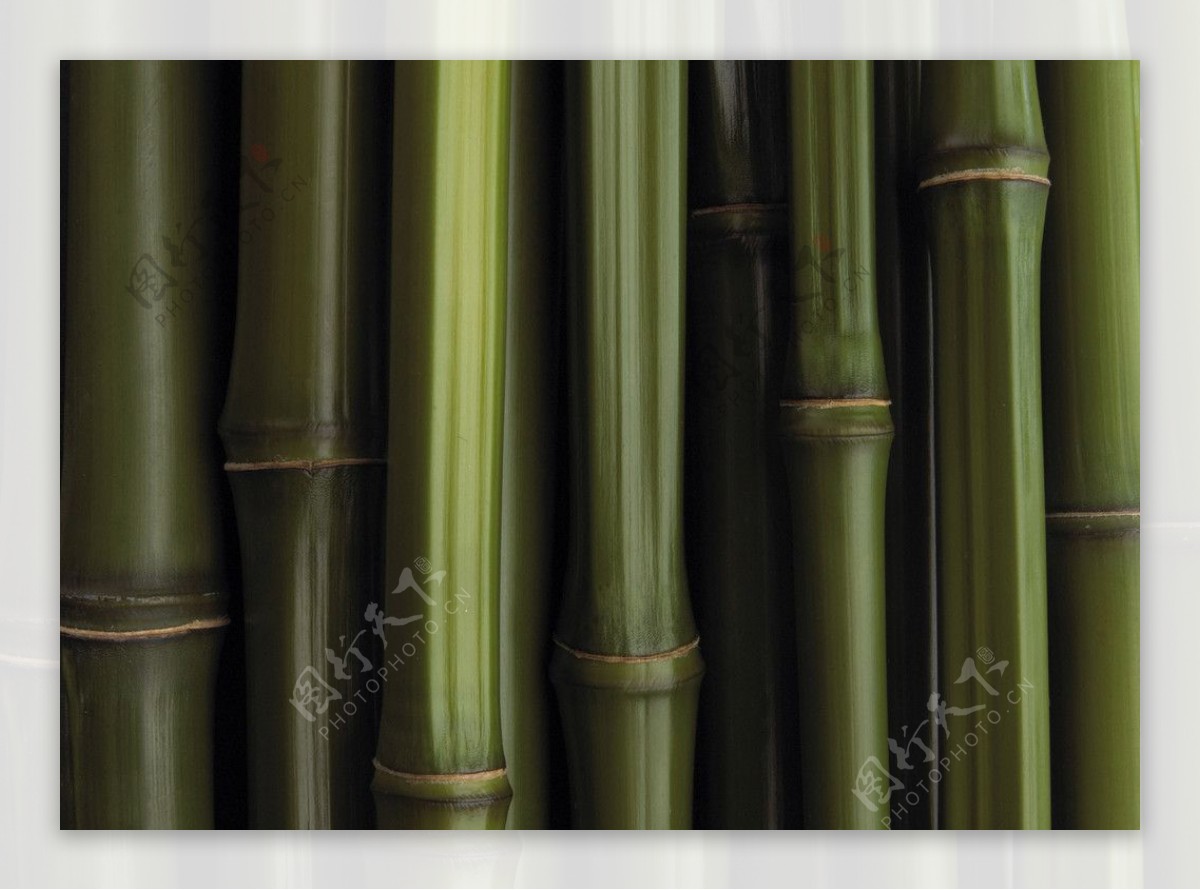 竹子竹条图片
