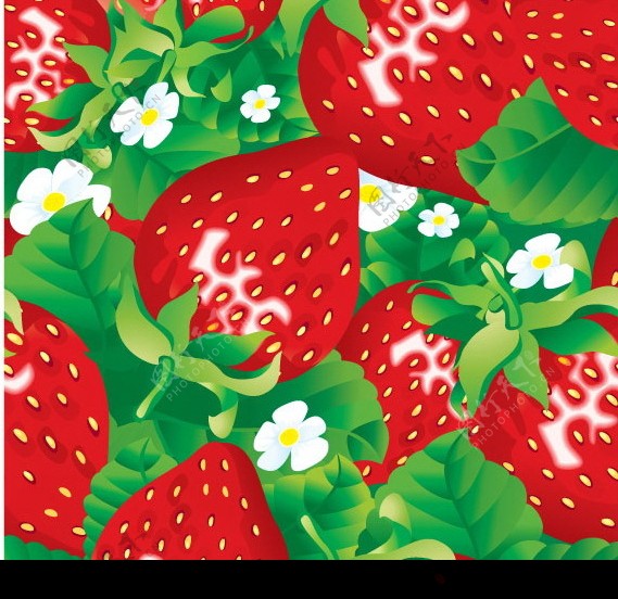 真实新鲜的适量草莓图片