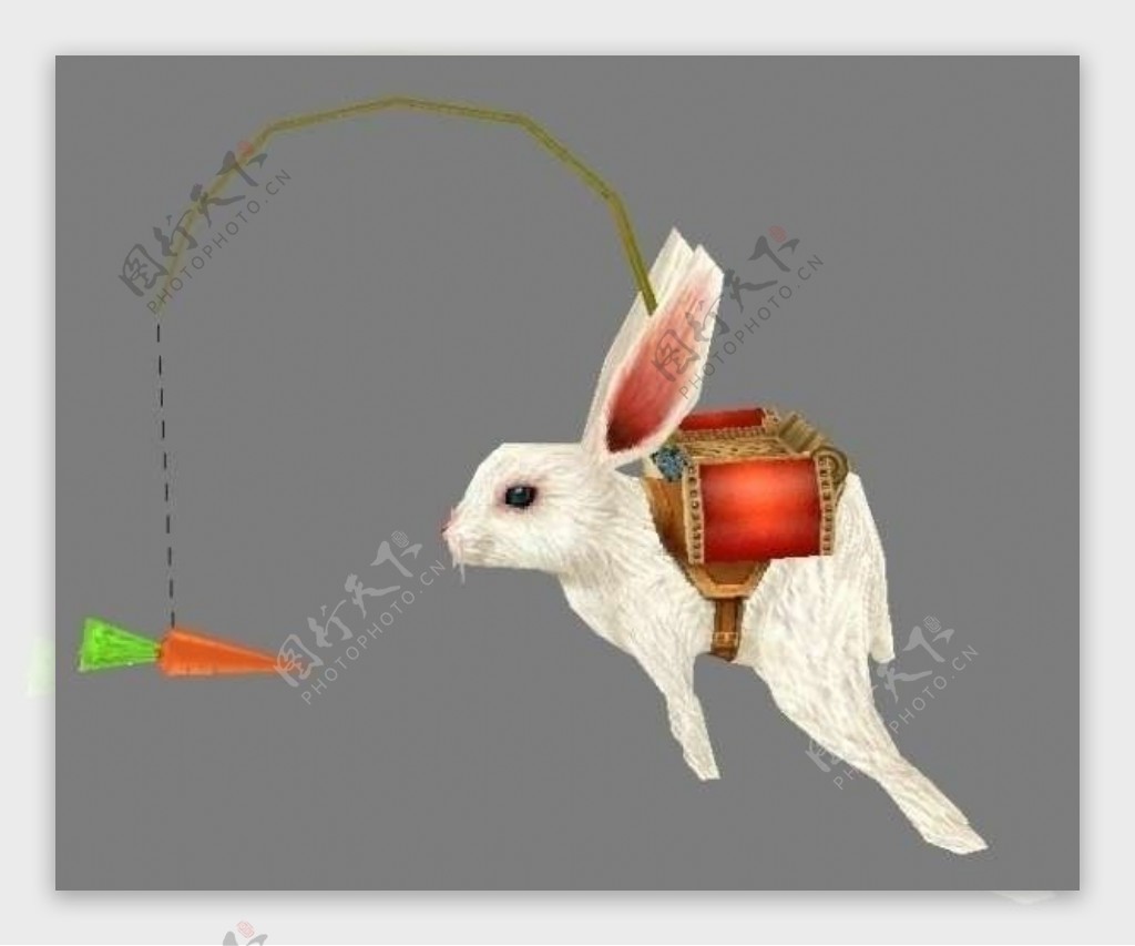 兔子模型骑乘图片