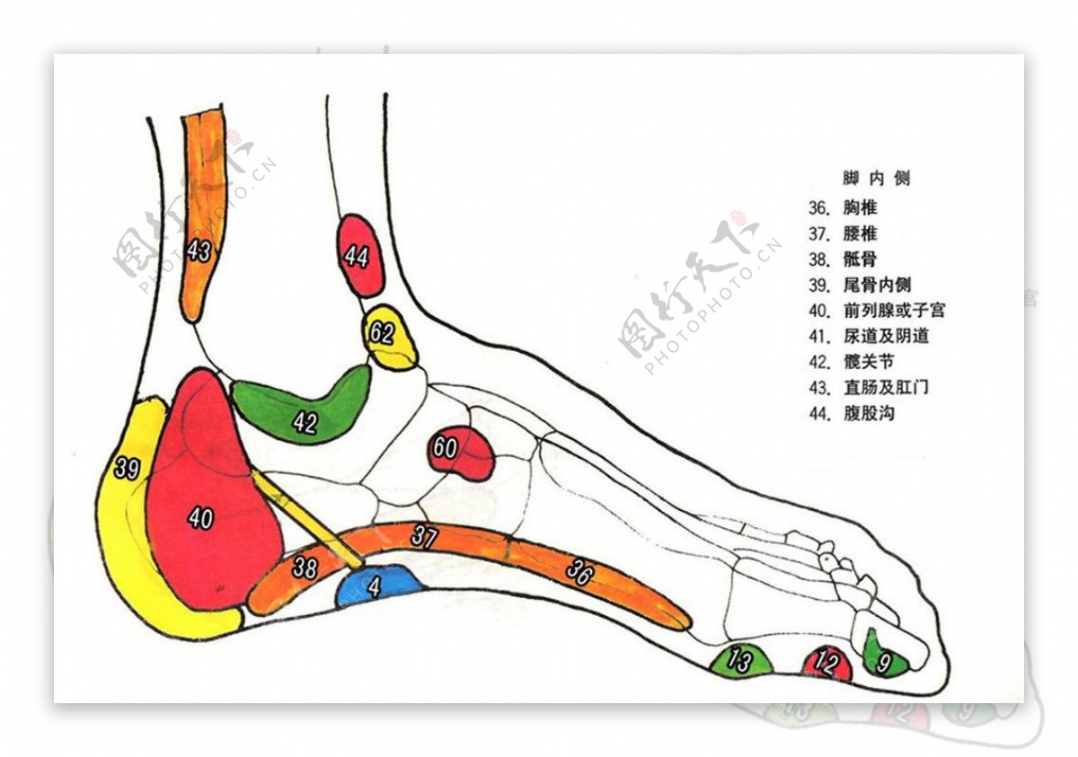 足疗穴位图片