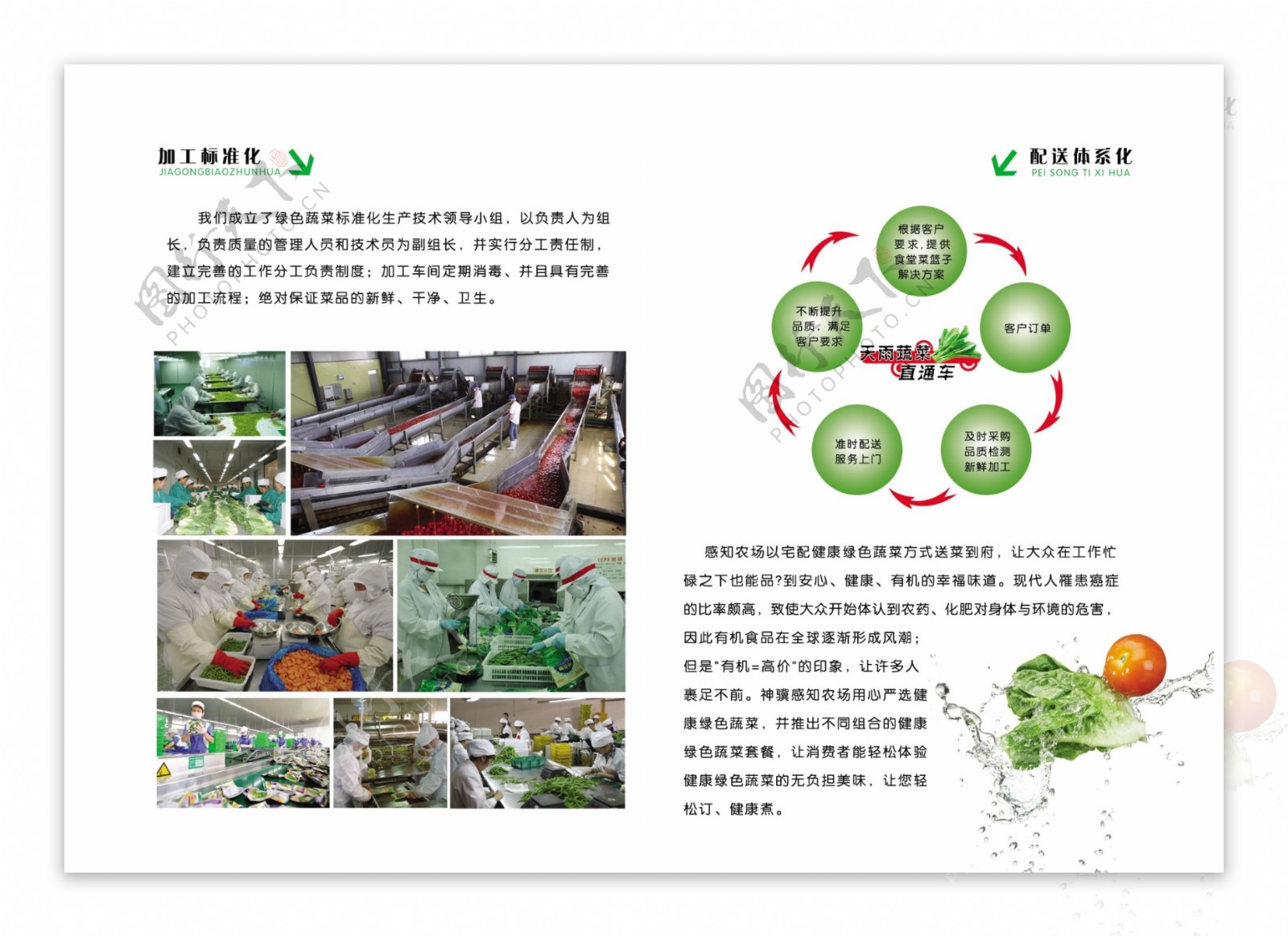蔬菜销售画册图片