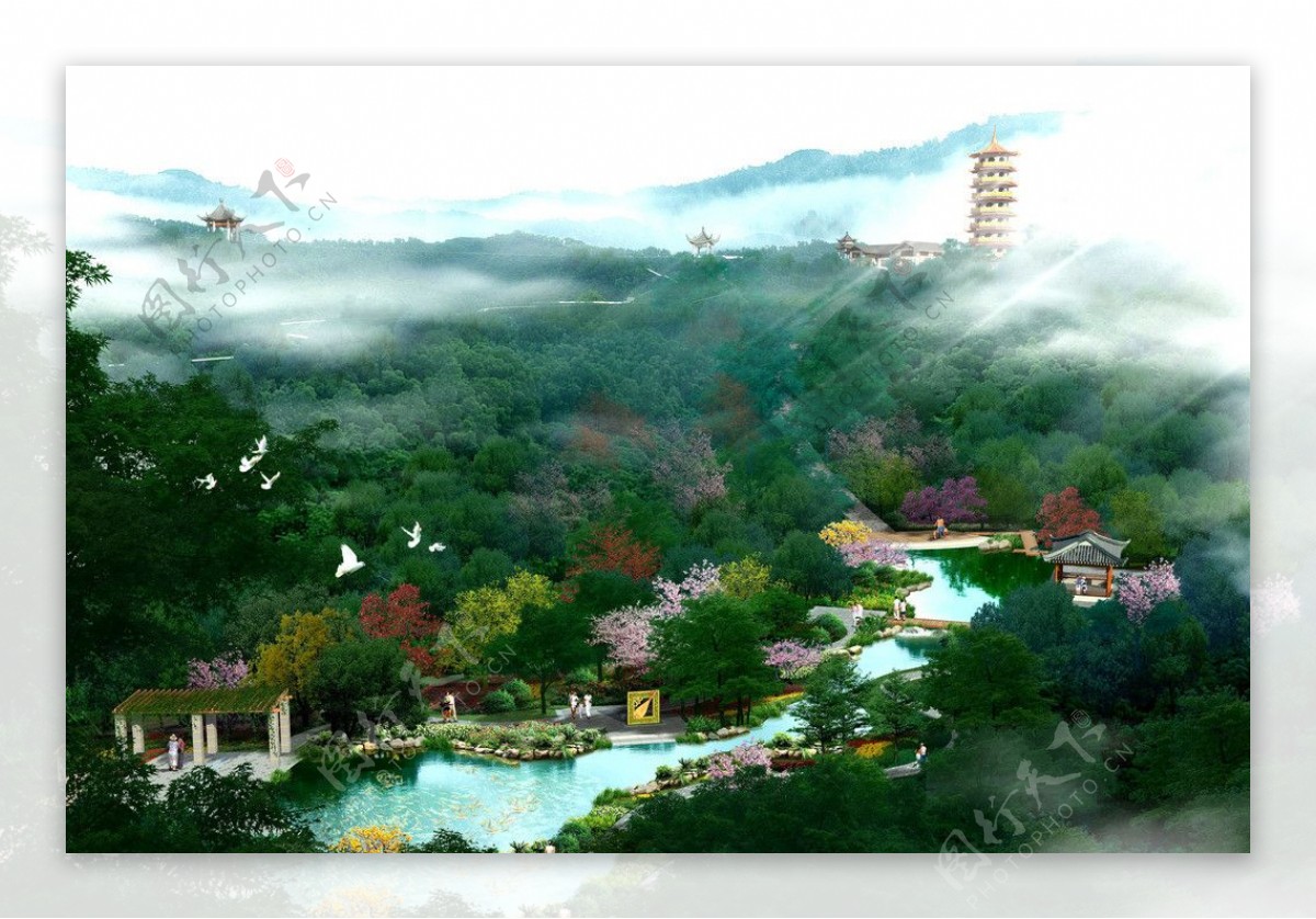 梅子山公园锦鲤园图片