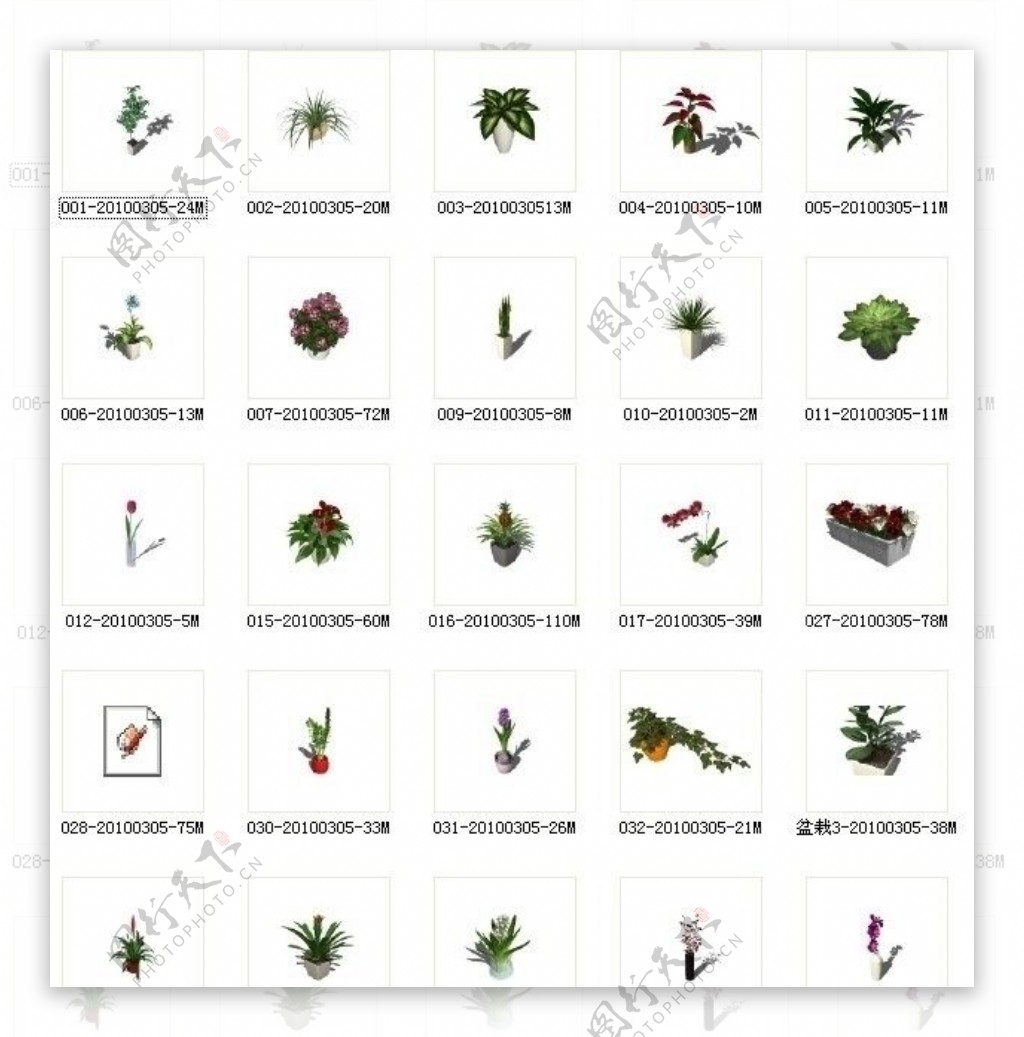 草图植物组合图片