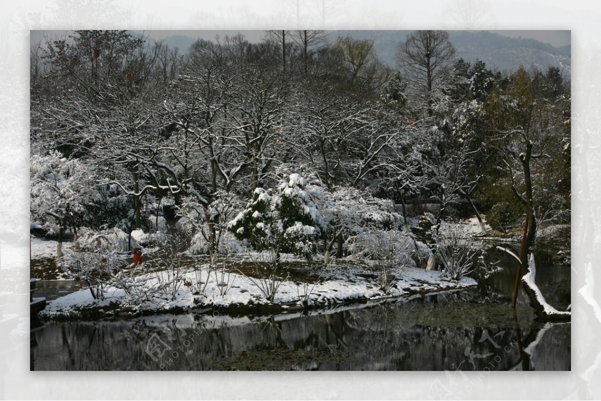杭州花圃雪后初晴图片
