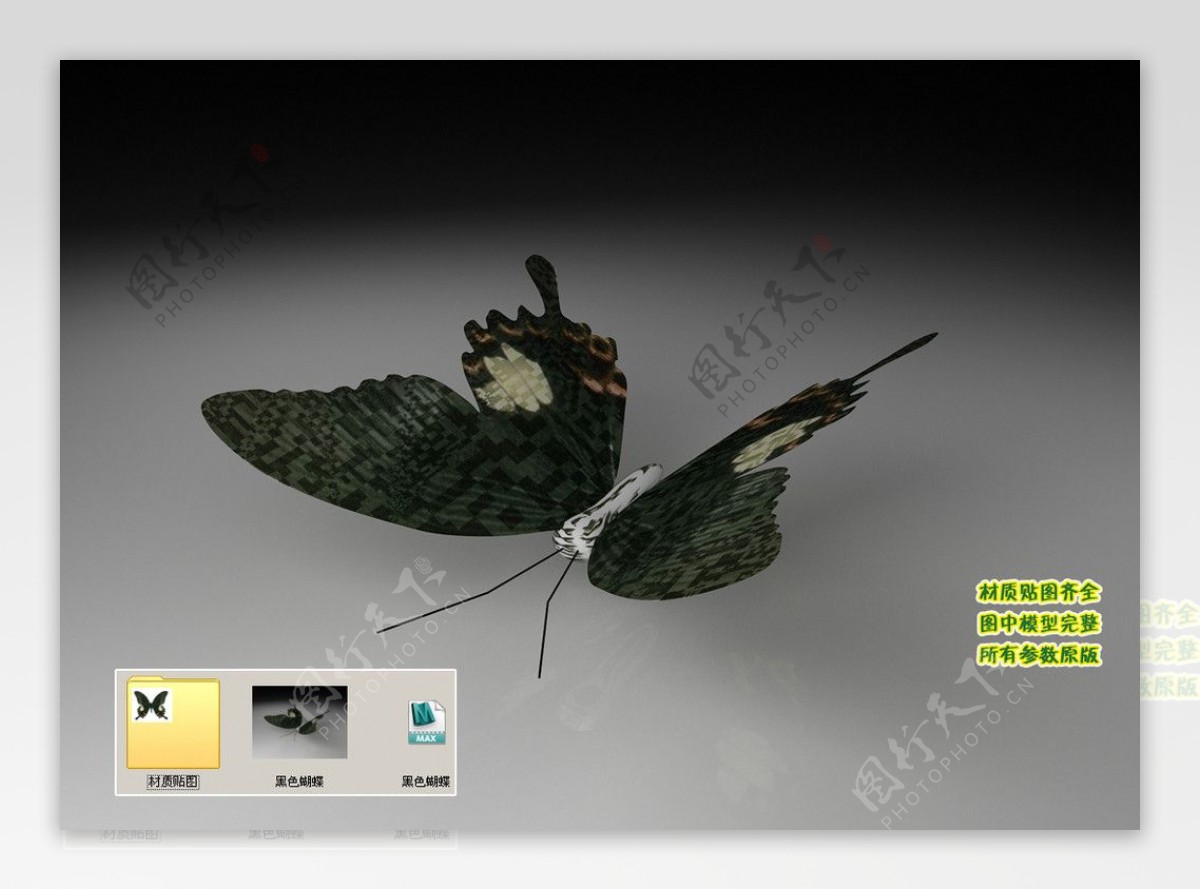 黑色蝴蝶3D三维模型建模图片
