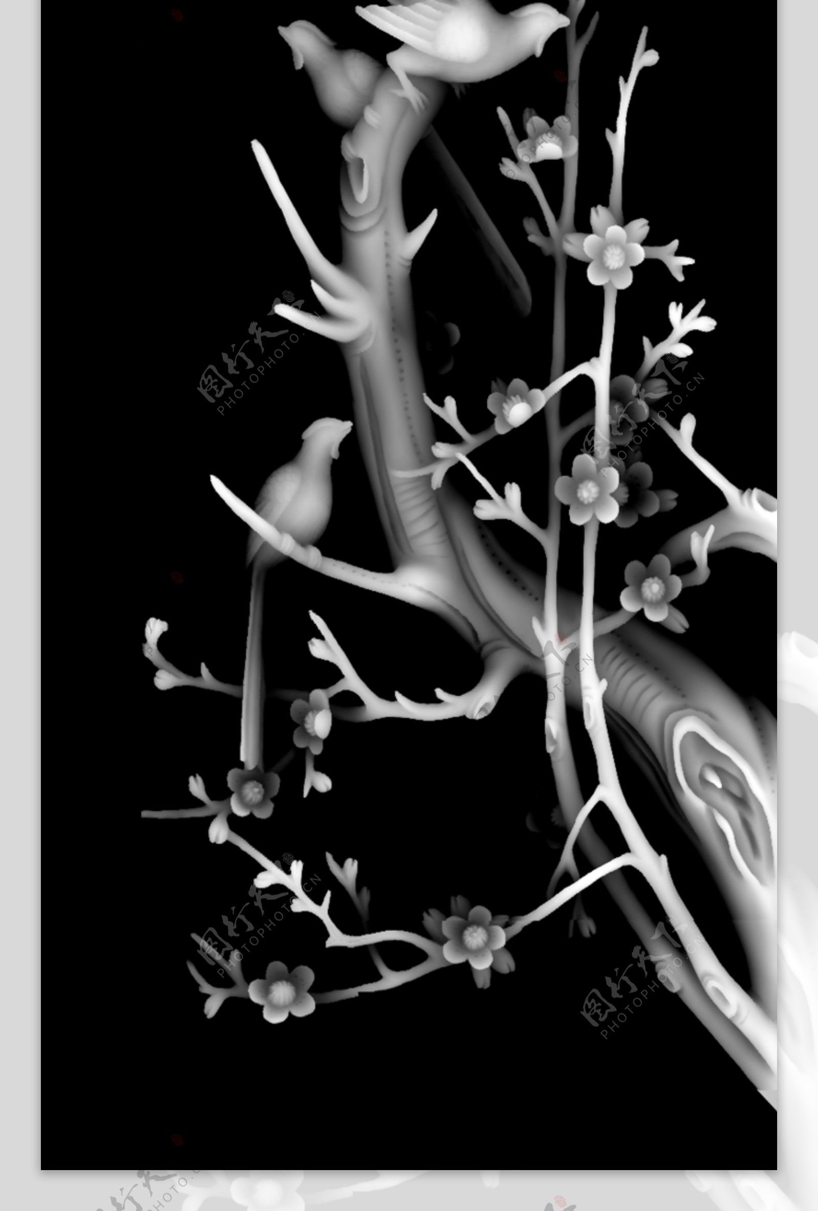 梅喜鹊花鸟图片