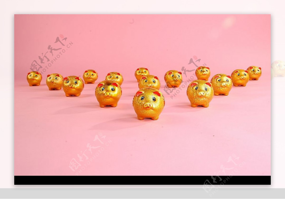 金猪阵队图片