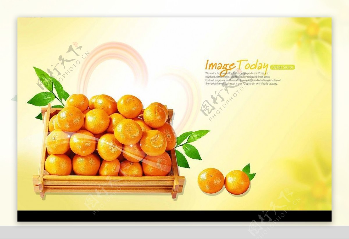 高清晰新鲜柑橘分层PSD图片
