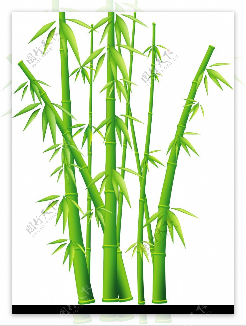 翠绿的竹子只是被抠出来图片