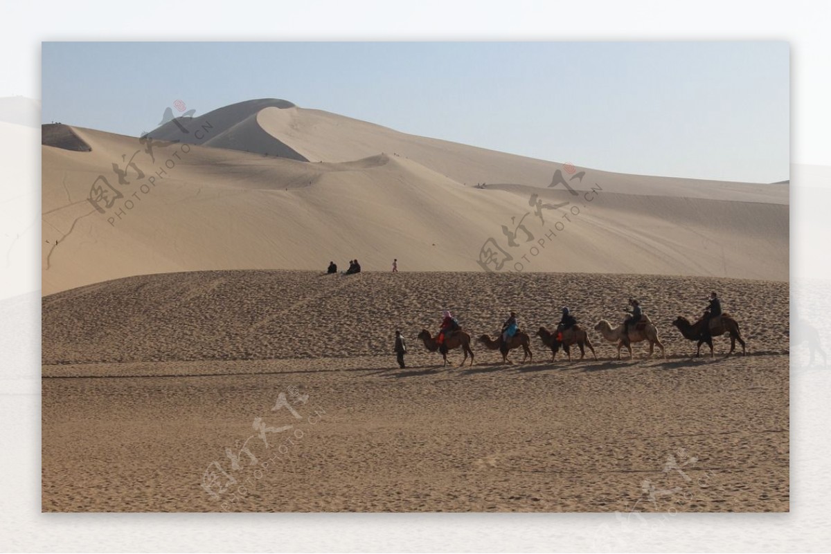 鸣沙山骆驼沙漠图片