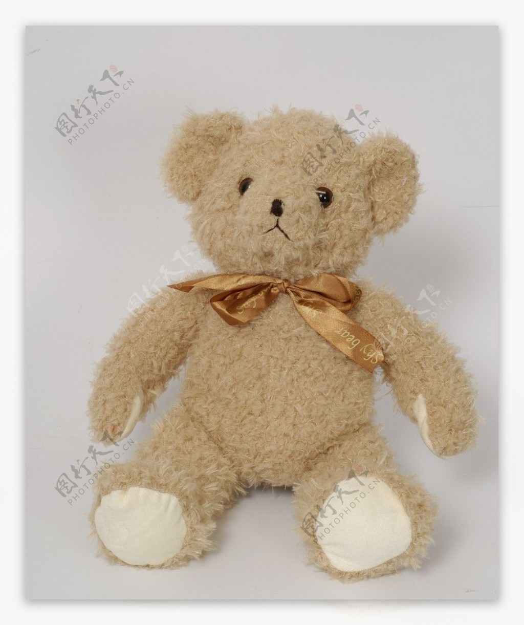泰迪熊玩具熊毛绒玩具图片