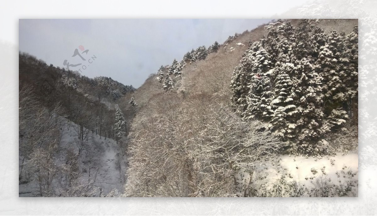 雪景图片