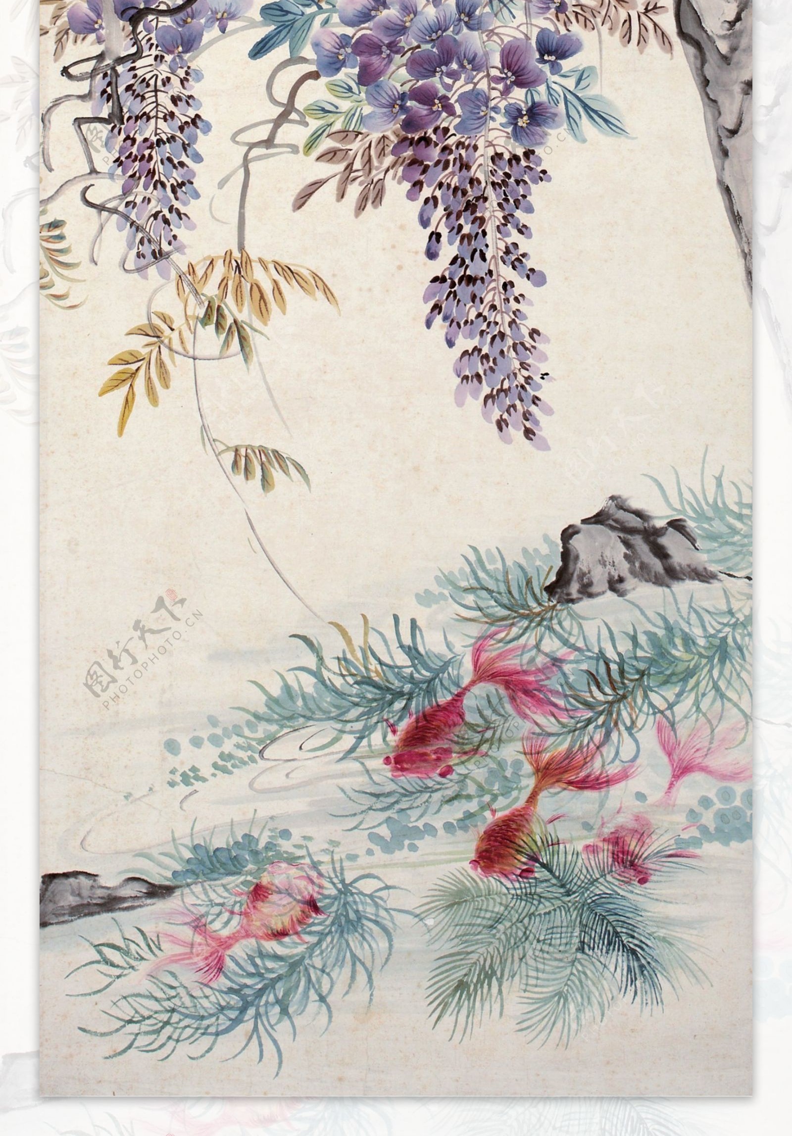 金鳞戏水紫萼飘香图片