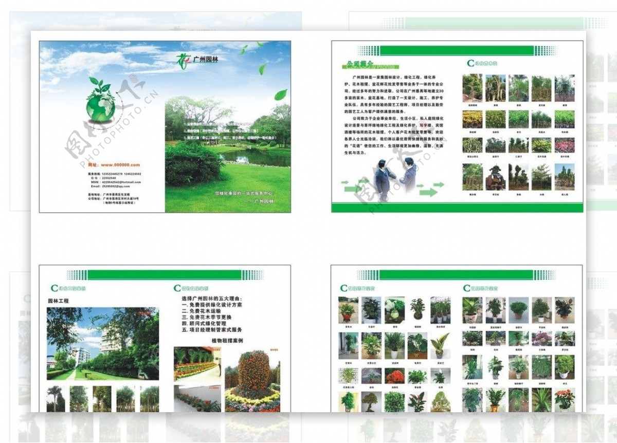 盘景园林画册图片