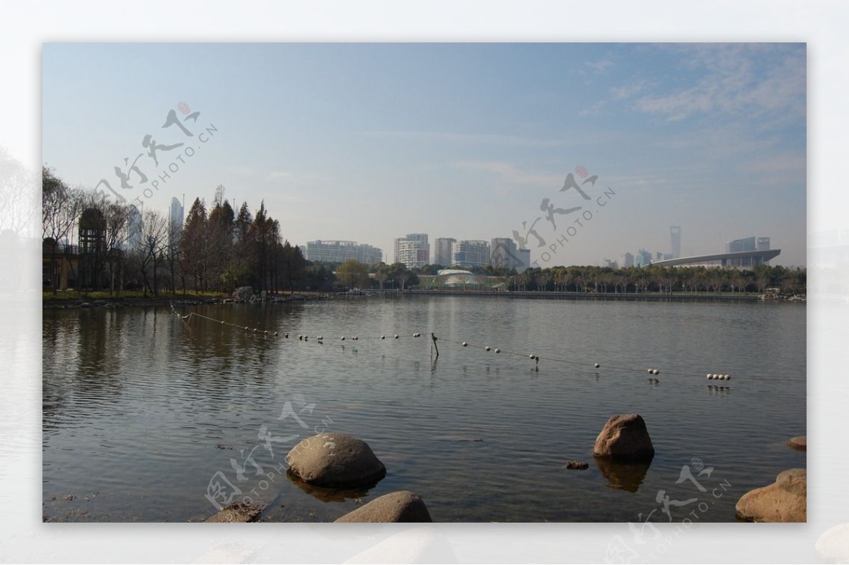 上海世纪公园内湖图片