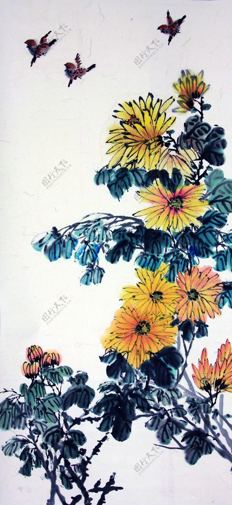 国画植物菊花图片