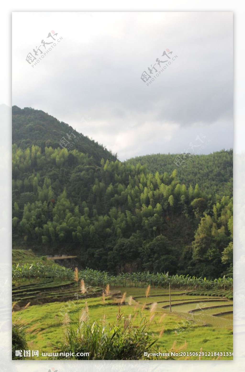 蓝天白云山脉草地图片