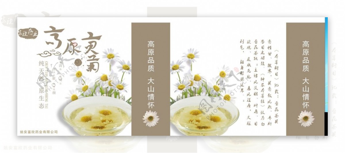 菊花茶包装图片