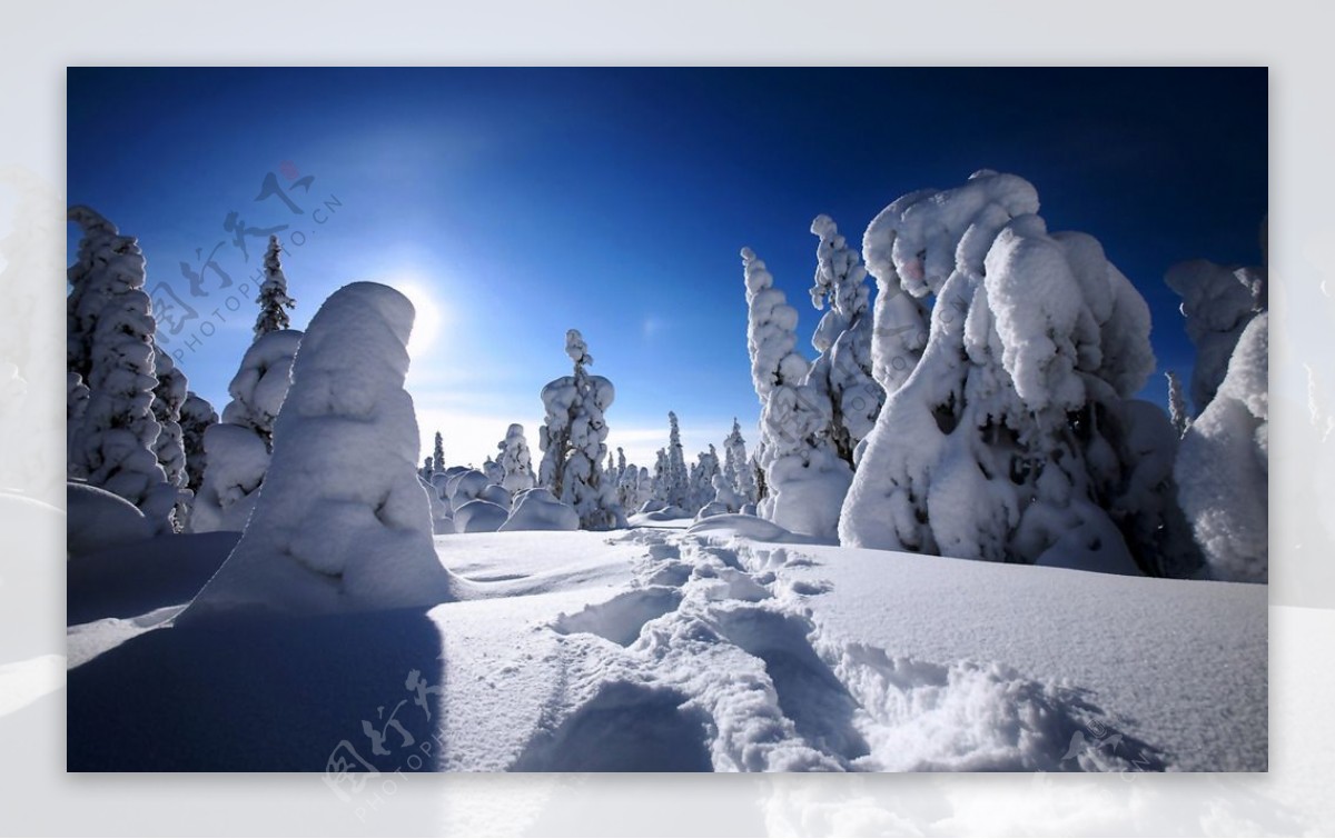 雪后风景图片