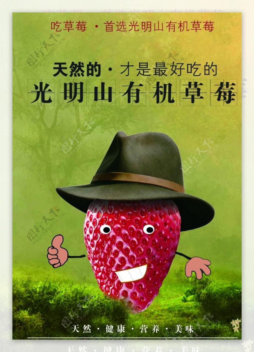 有机草莓草莓海报图片