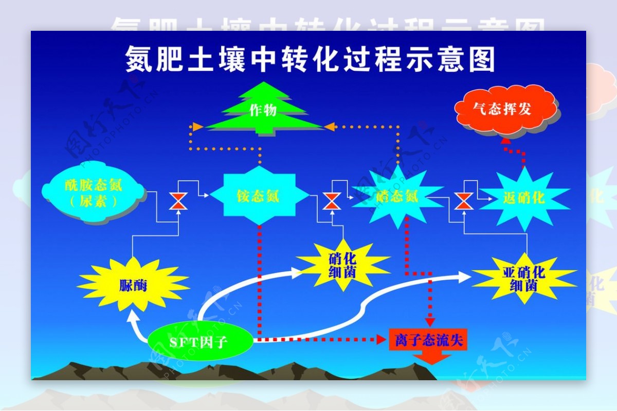 氮肥转换过程图图片