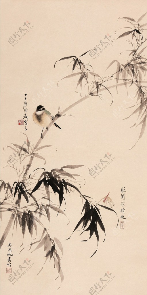 竹鸟蜻蜓图片