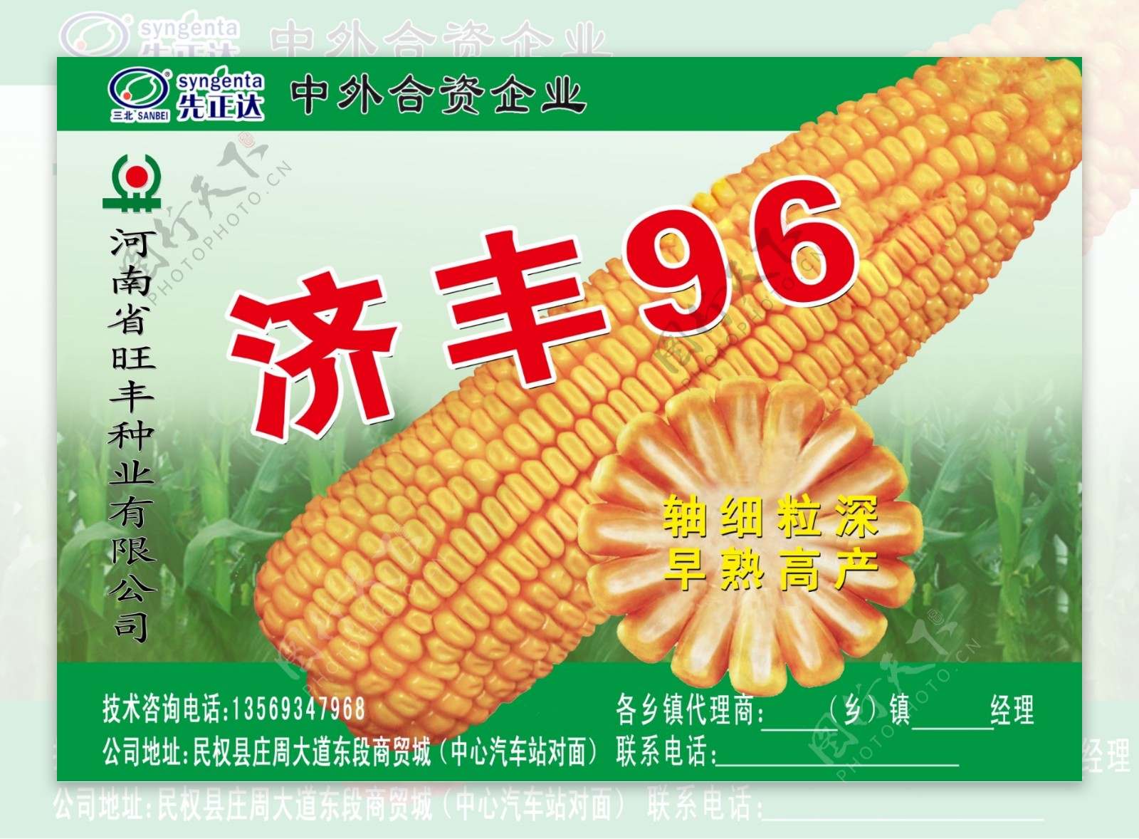 玉米种广告图片