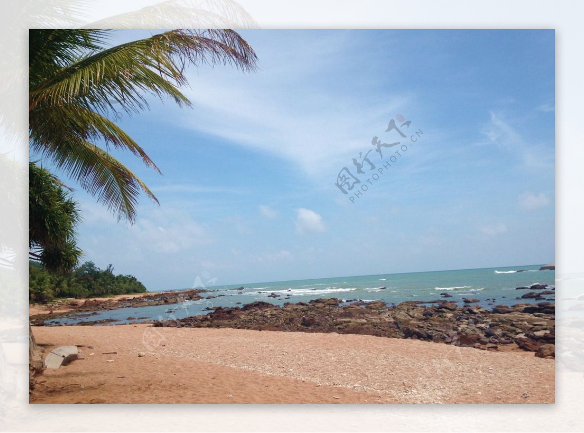 椰树风情沙滩图片