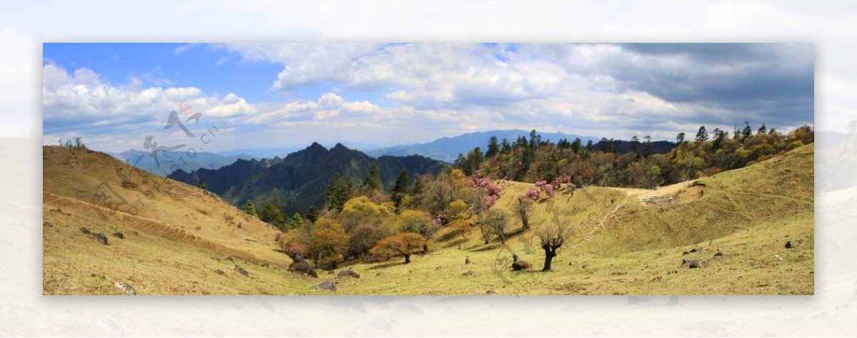 老君山国家公园高山草甸图片