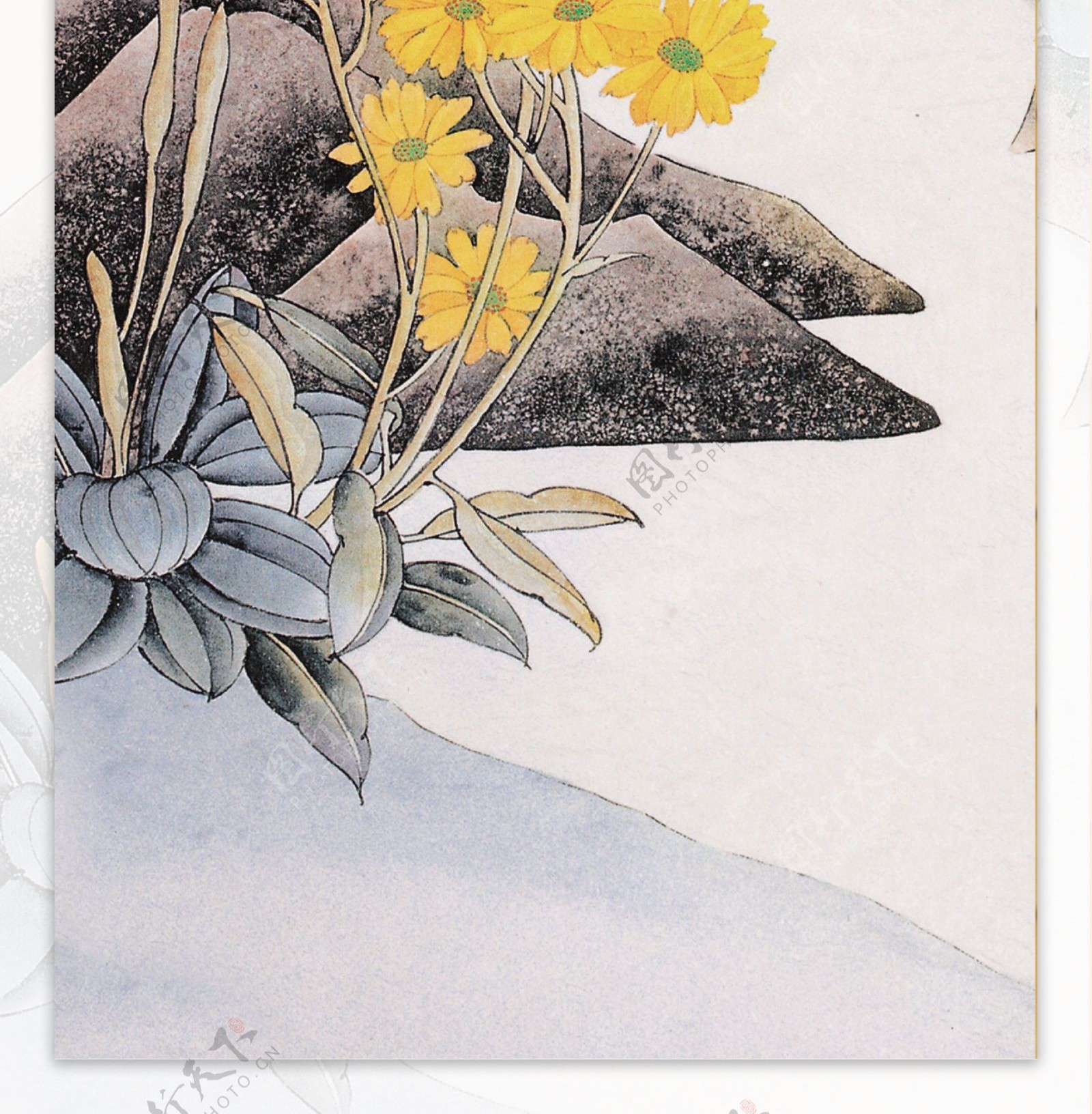 花卉国画图片