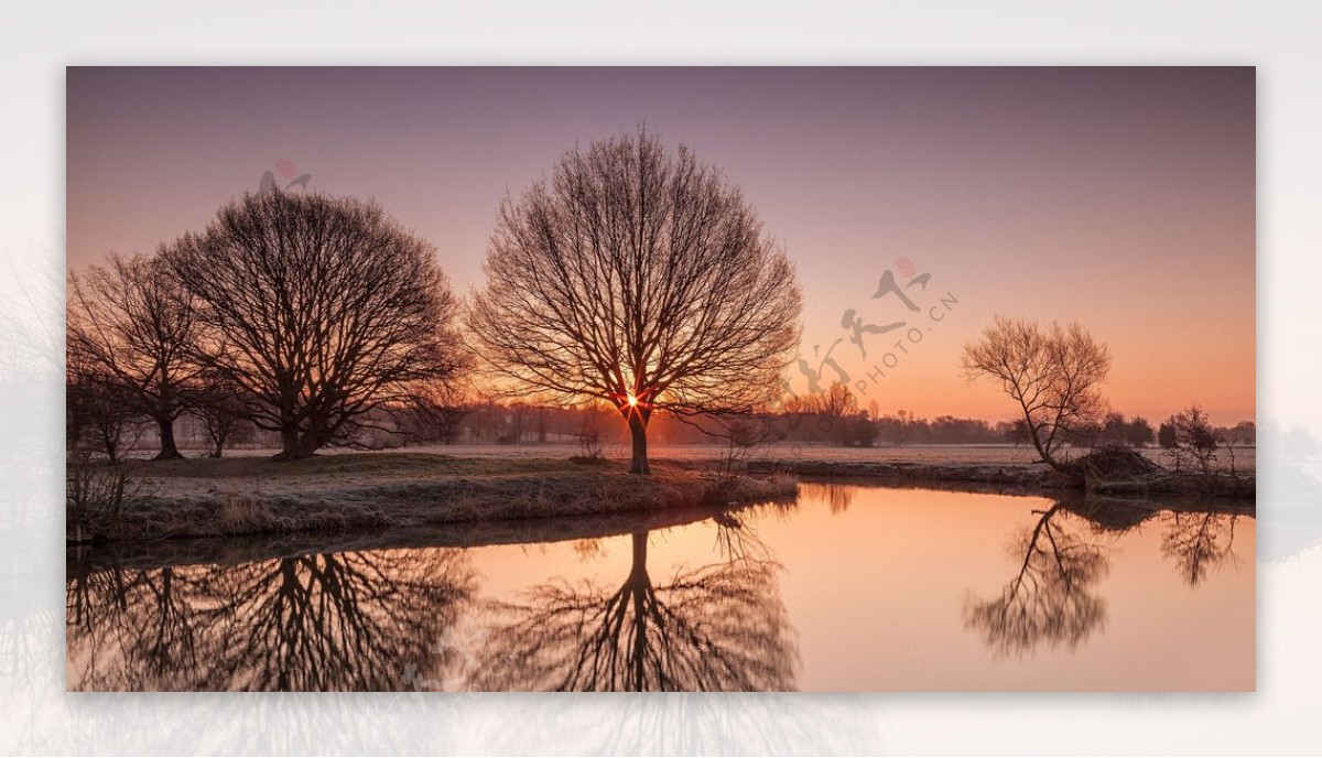 冬天夕阳中的田野图片
