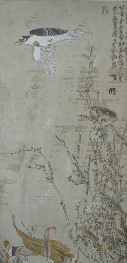中国画花鸟画作品图片