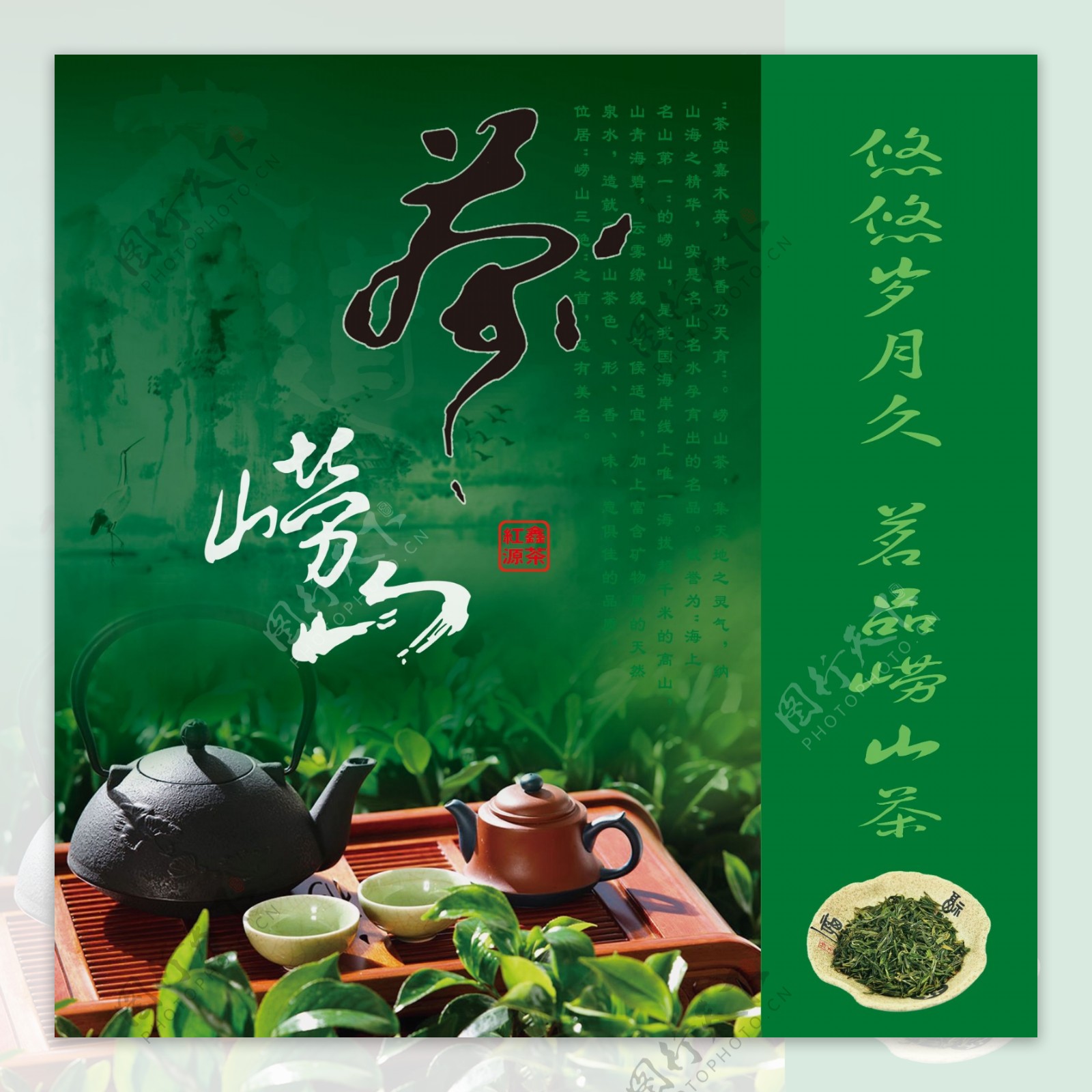 学院茶艺与茶文化工作室联合企业开展“茶山游暨崂山绿茶采制活动”