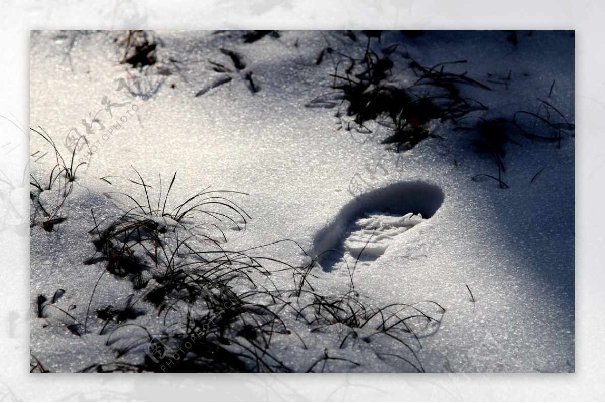白雪脚印图片