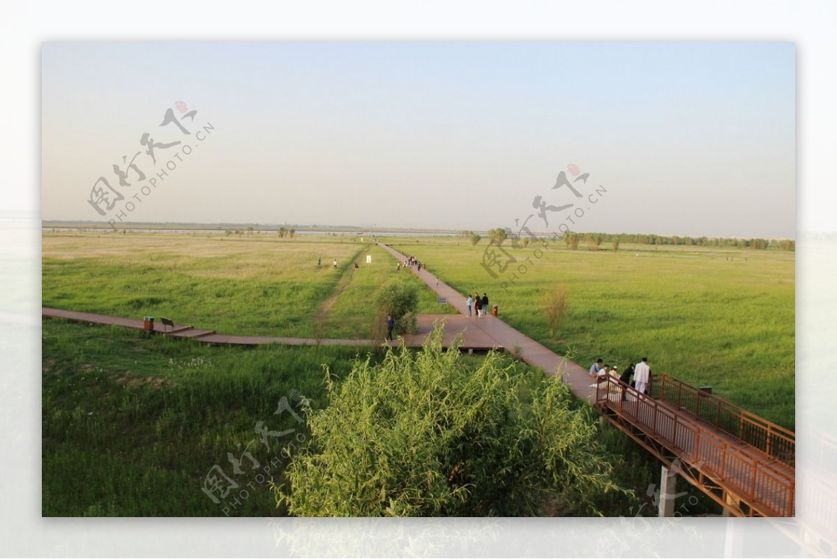 郑州黄河国家湿地公园图片