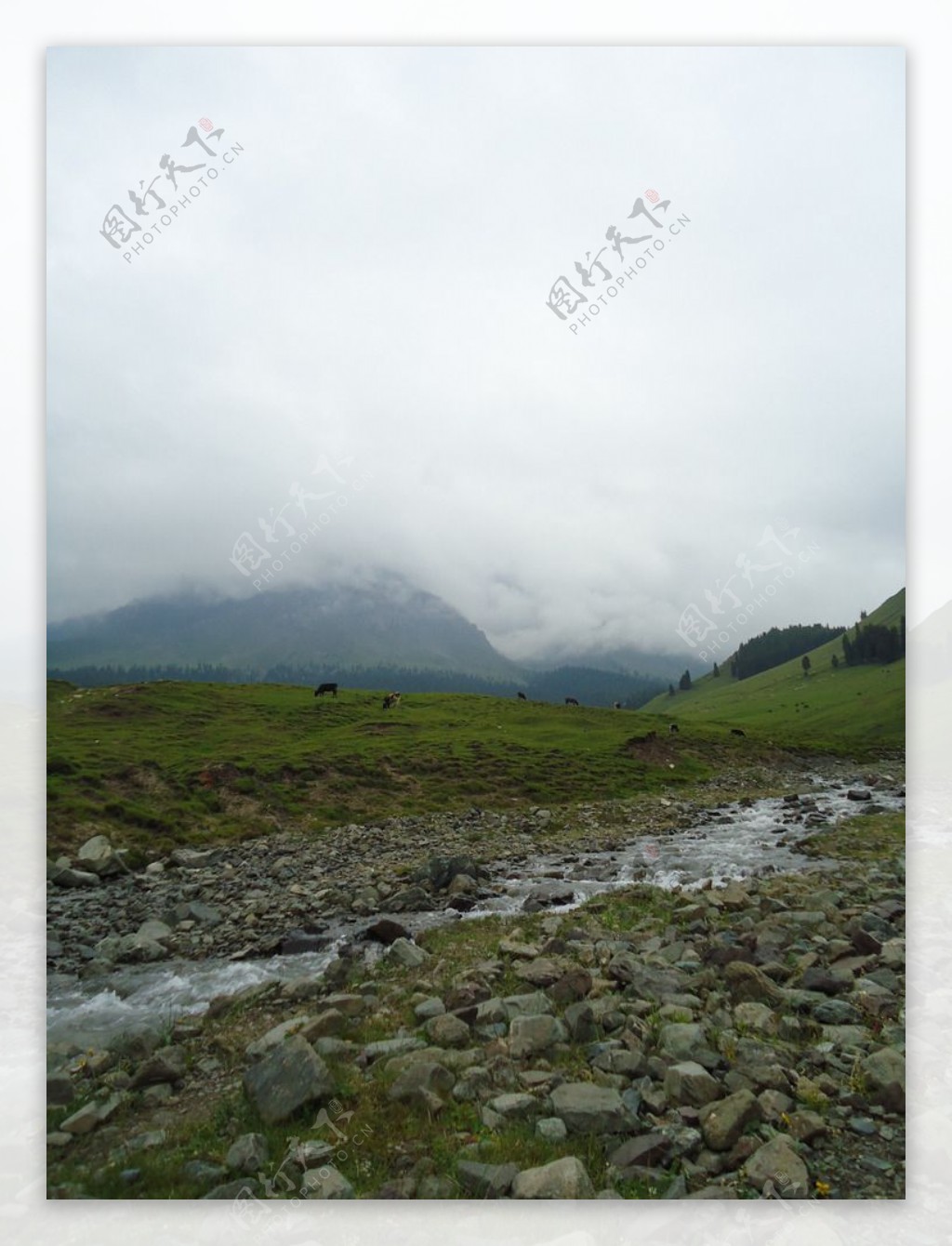 鹿角湾自然风景图片