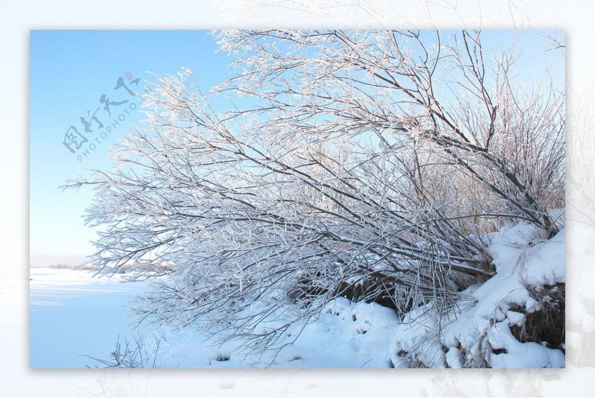 南河套雪景图片