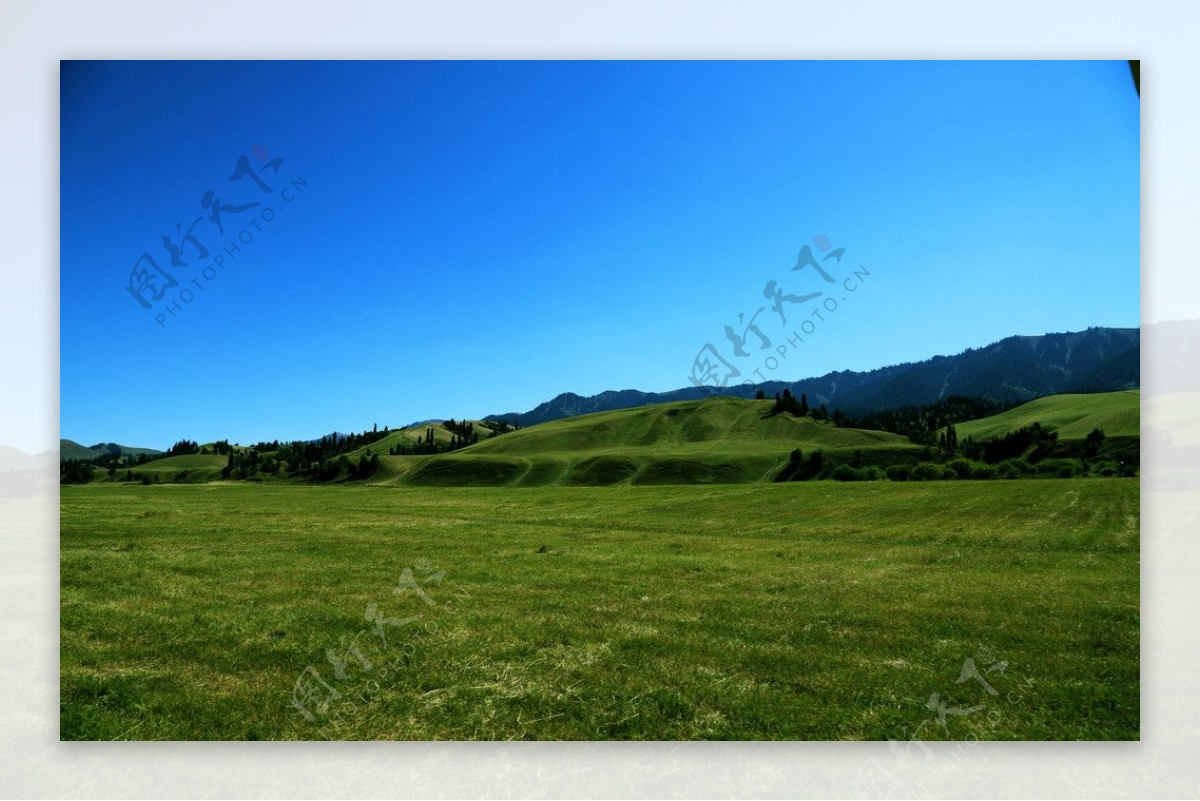 草场美丽风光景色图片