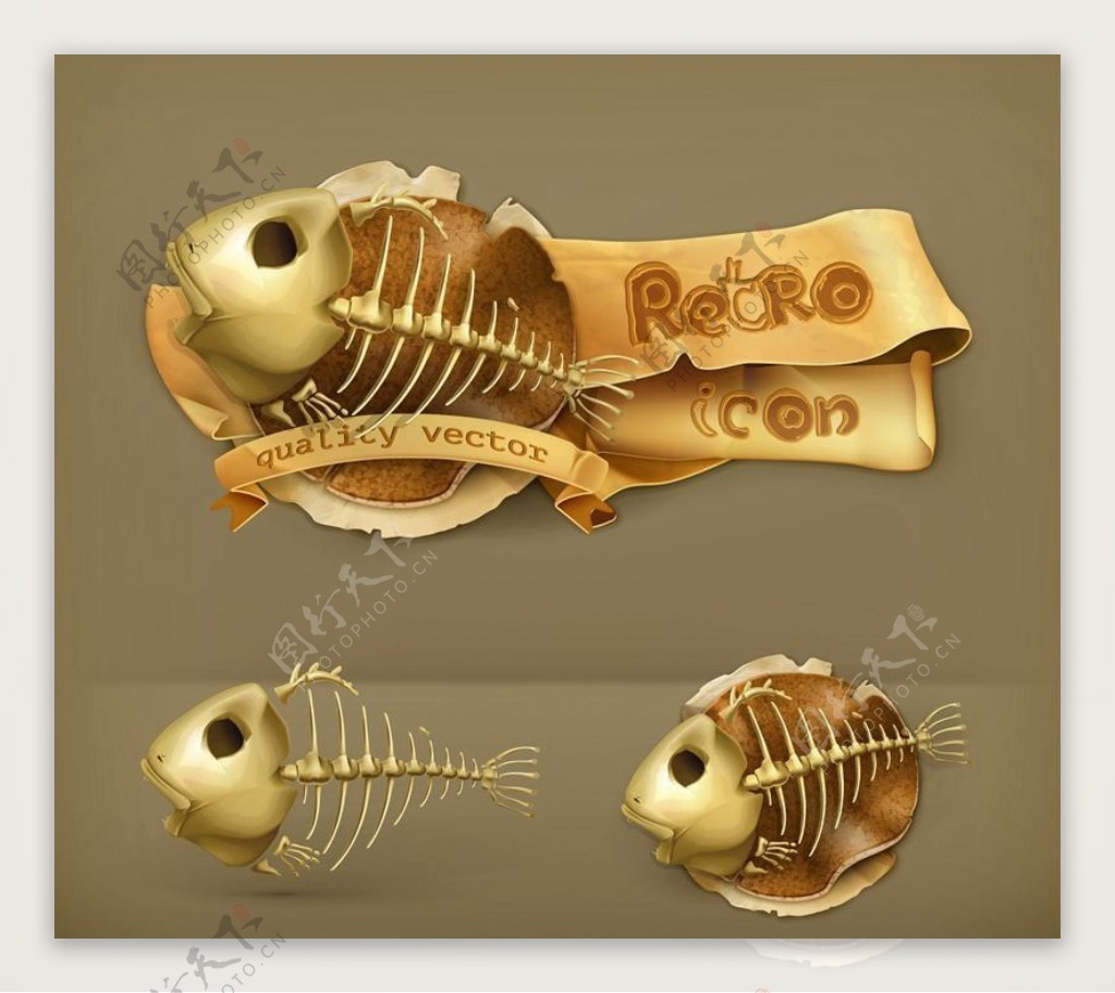 鱼刺图标标志ICON图片