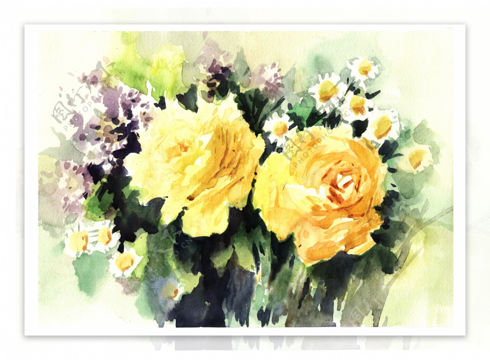 水彩画黄玫瑰图片