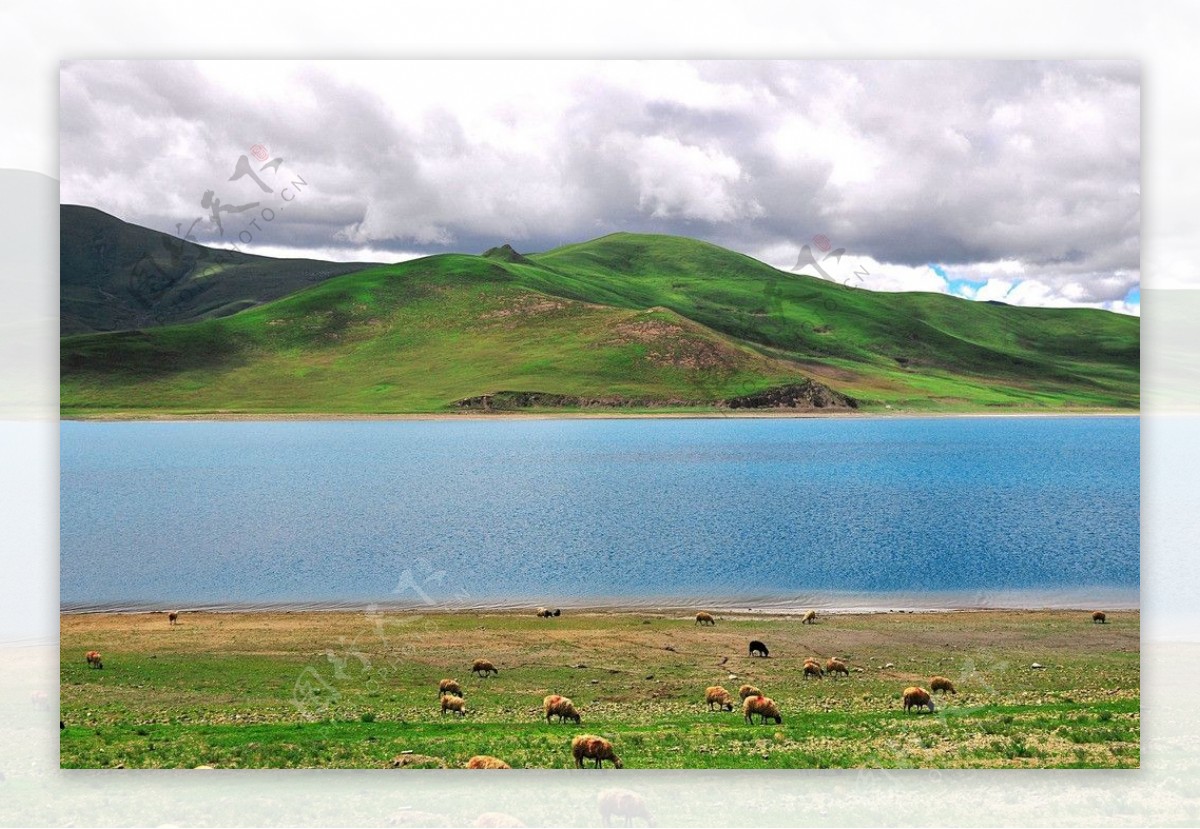 西藏圣湖羊卓雍措图片